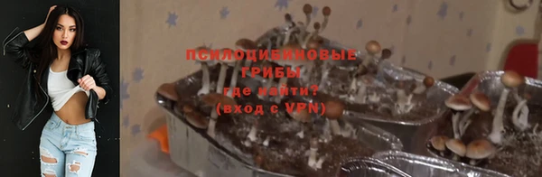 крисы Абдулино