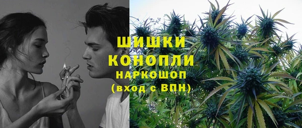шишки Абинск