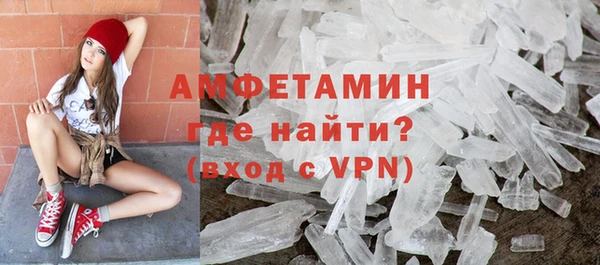 шишки Осташков