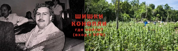 крисы Абдулино