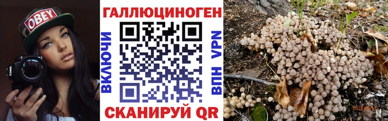 Галлюциногенные грибы Magic Shrooms  где можно купить наркотик  Фурманов 